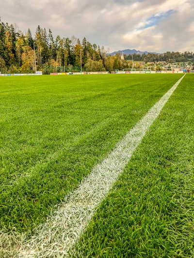 نتيجة مباراة فرنسا والأرجنتينتحليل شامل لأبرز الأحداث والتطورات